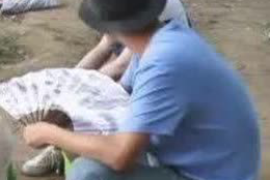 古田遇到恶意拖欠？专业追讨公司帮您解决烦恼